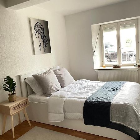 Appartement La Petite Venise Colmar Bagian luar foto