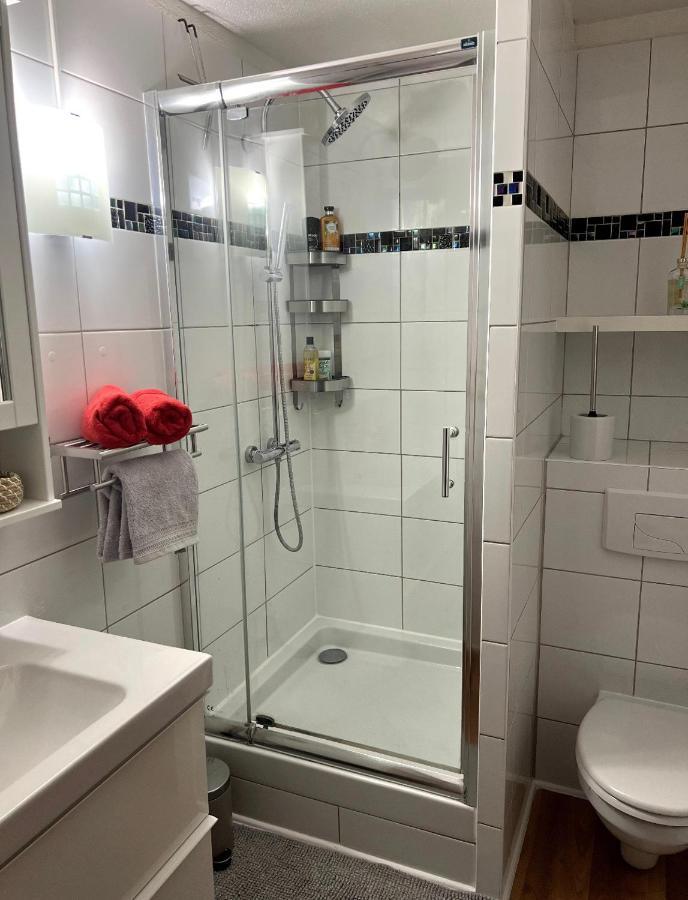 Appartement La Petite Venise Colmar Bagian luar foto