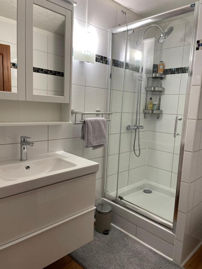 Appartement La Petite Venise Colmar Bagian luar foto